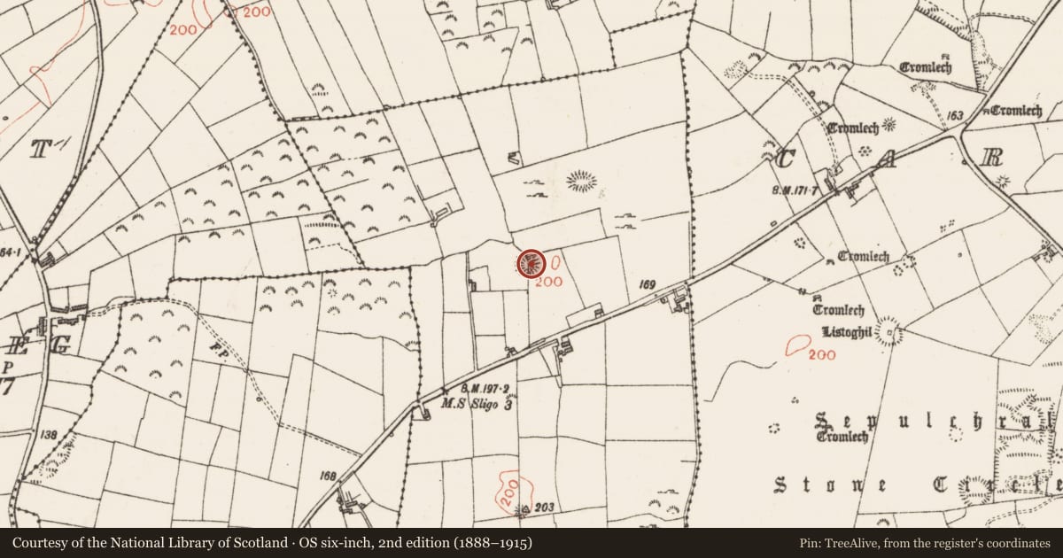 Ordnance Survey six-inch map, 2nd edition (1888–1915) covering the location of Ringfort - rath, Graigue, County Sligo, with a pin at the register's coordinates