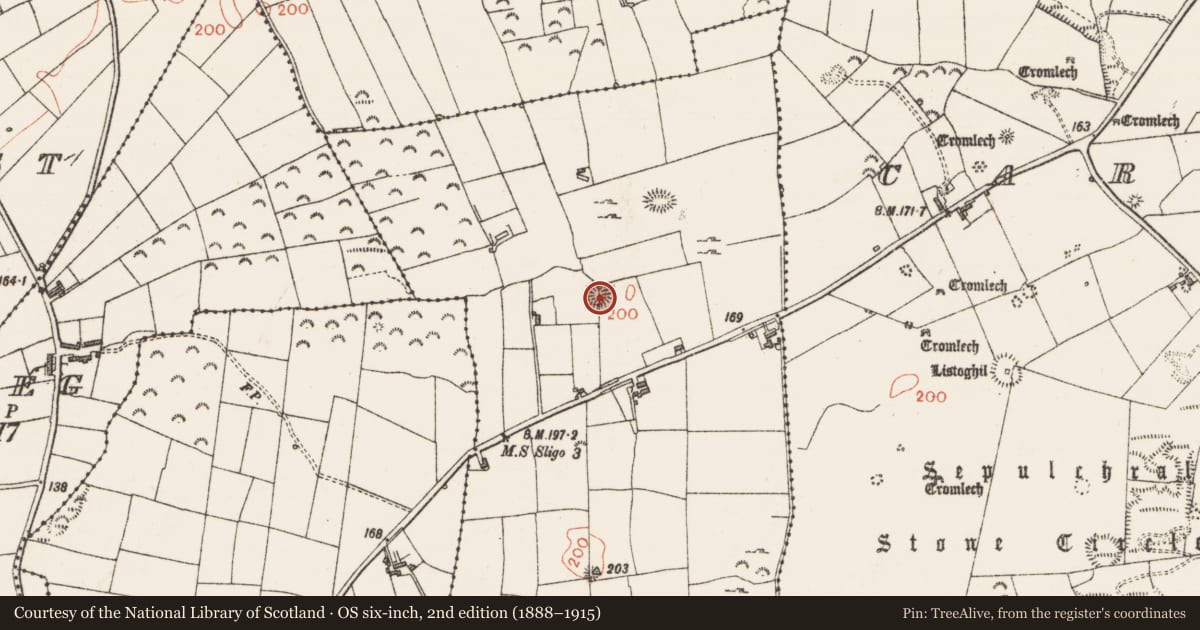 Ordnance Survey six-inch map, 2nd edition (1888–1915) covering the location of Souterrain, Graigue, County Sligo, with a pin at the register's coordinates