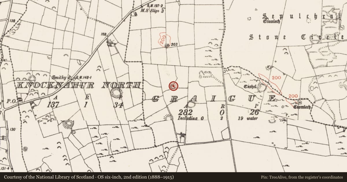 Ordnance Survey six-inch map, 2nd edition (1888–1915) covering the location of Ringfort - rath, Graigue, County Sligo, with a pin at the register's coordinates