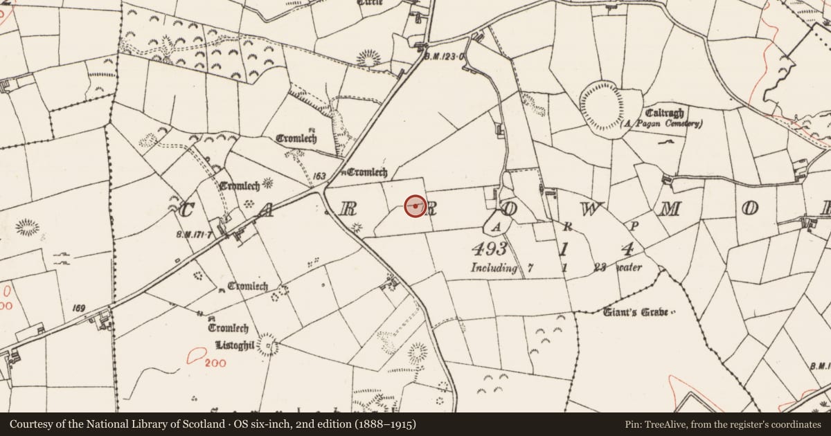 Ordnance Survey six-inch map, 2nd edition (1888–1915) covering the location of Pit alignment, Carrowmore, County Sligo, with a pin at the register's coordinates