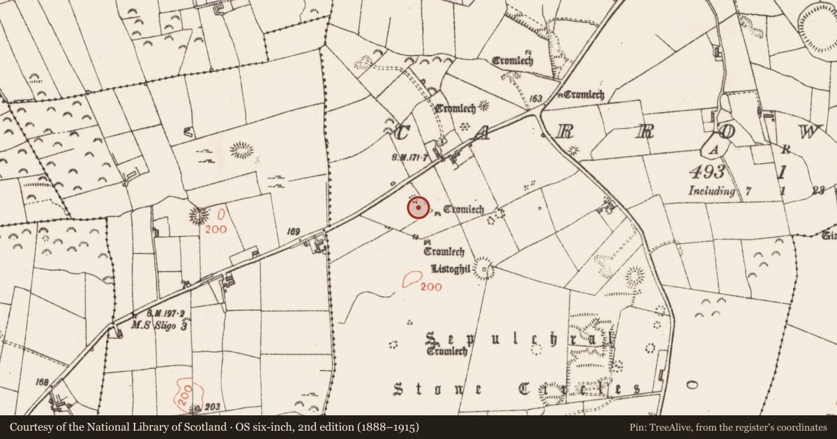 Ordnance Survey six-inch map, 2nd edition (1888–1915) covering the location of Cist, Carrowmore, County Sligo, with a pin at the register's coordinates