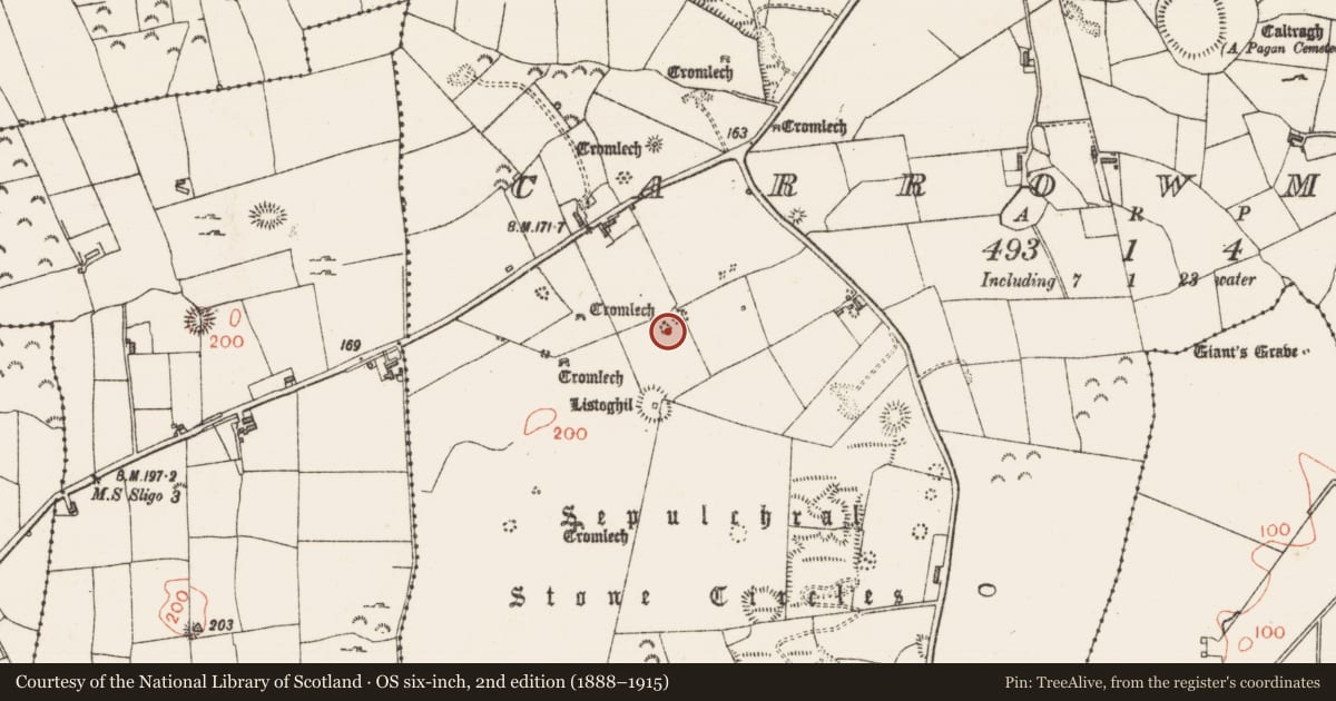 Ordnance Survey six-inch map, 2nd edition (1888–1915) covering the location of Megalithic tomb - passage tomb, Carrowmore, County Sligo, with a pin at the register's coordinates