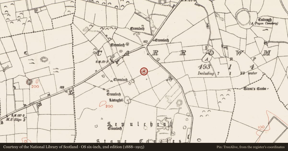 Ordnance Survey six-inch map, 2nd edition (1888–1915) covering the location of Megalithic tomb - passage tomb, Carrowmore, County Sligo, with a pin at the register's coordinates