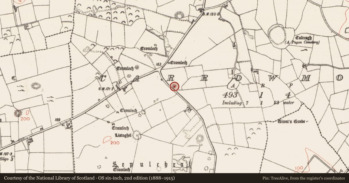 Ordnance Survey six-inch map, 2nd edition (1888–1915) covering the location of Megalithic tomb - passage tomb, Carrowmore, County Sligo, with a pin at the register's coordinates