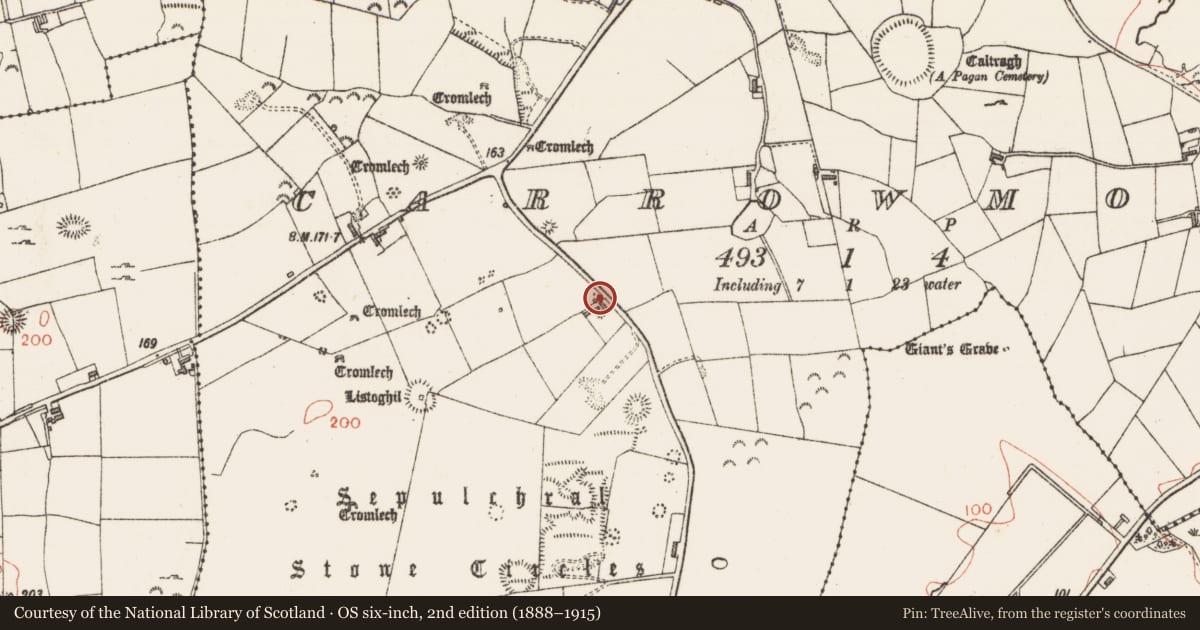 Ordnance Survey six-inch map, 2nd edition (1888–1915) covering the location of Megalithic tomb - passage tomb, Carrowmore, County Sligo, with a pin at the register's coordinates