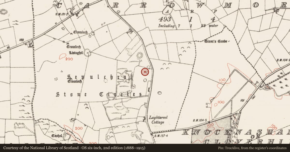 Ordnance Survey six-inch map, 2nd edition (1888–1915) covering the location of Megalithic structure, Carrowmore, County Sligo, with a pin at the register's coordinates