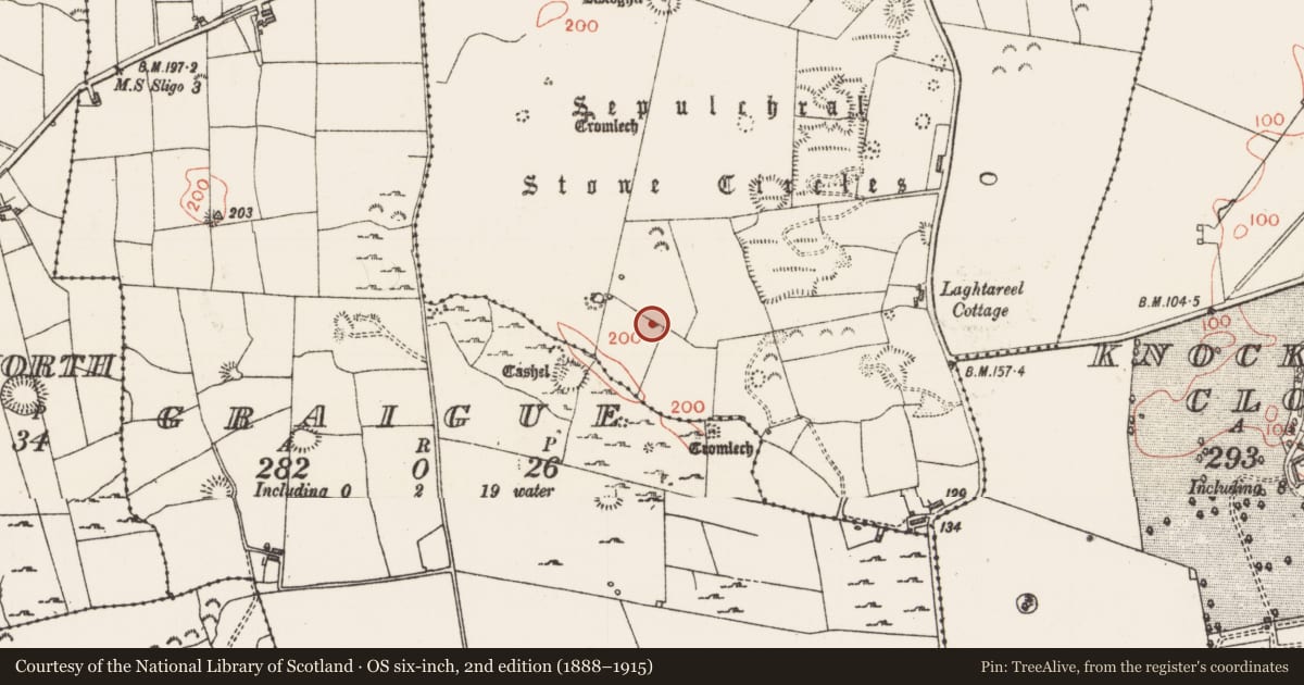 Ordnance Survey six-inch map, 2nd edition (1888–1915) covering the location of Megalithic structure, Carrowmore, County Sligo, with a pin at the register's coordinates