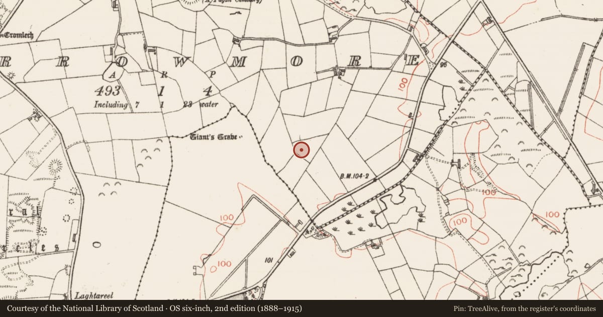 Ordnance Survey six-inch map, 2nd edition (1888–1915) covering the location of Ringfort - rath, Carrowmore, County Sligo, with a pin at the register's coordinates