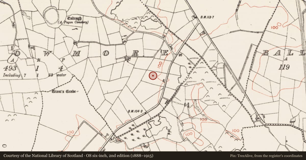 Ordnance Survey six-inch map, 2nd edition (1888–1915) covering the location of Barrow - unclassified, Carrowmore, County Sligo, with a pin at the register's coordinates