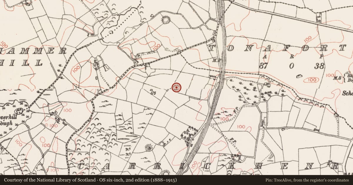 Ordnance Survey six-inch map, 2nd edition (1888–1915) covering the location of Ringfort - rath, Carrickhenry, County Sligo, with a pin at the register's coordinates