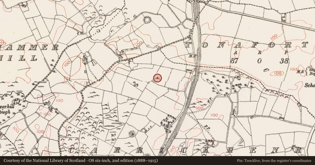 Ordnance Survey six-inch map, 2nd edition (1888–1915) covering the location of Souterrain, Carrickhenry, County Sligo, with a pin at the register's coordinates