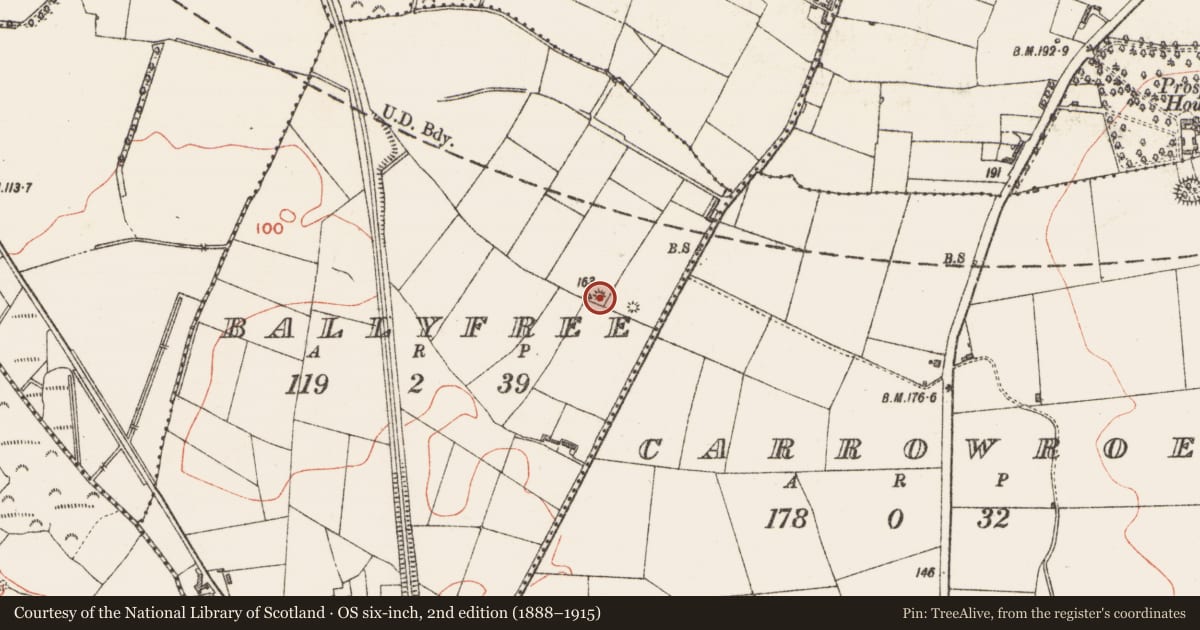 Ordnance Survey six-inch map, 2nd edition (1888–1915) covering the location of Barrow - unclassified, Ballyfree, County Sligo, with a pin at the register's coordinates