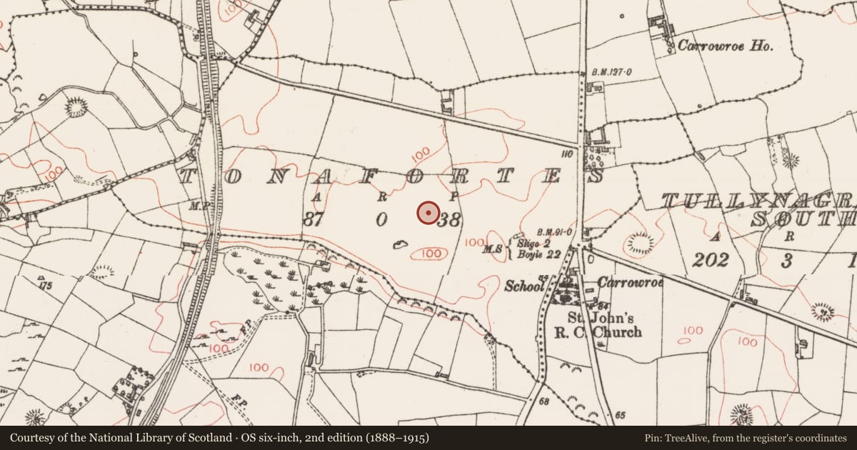 Ordnance Survey six-inch map, 2nd edition (1888–1915) covering the location of Henge, Tonafortes, County Sligo, with a pin at the register's coordinates