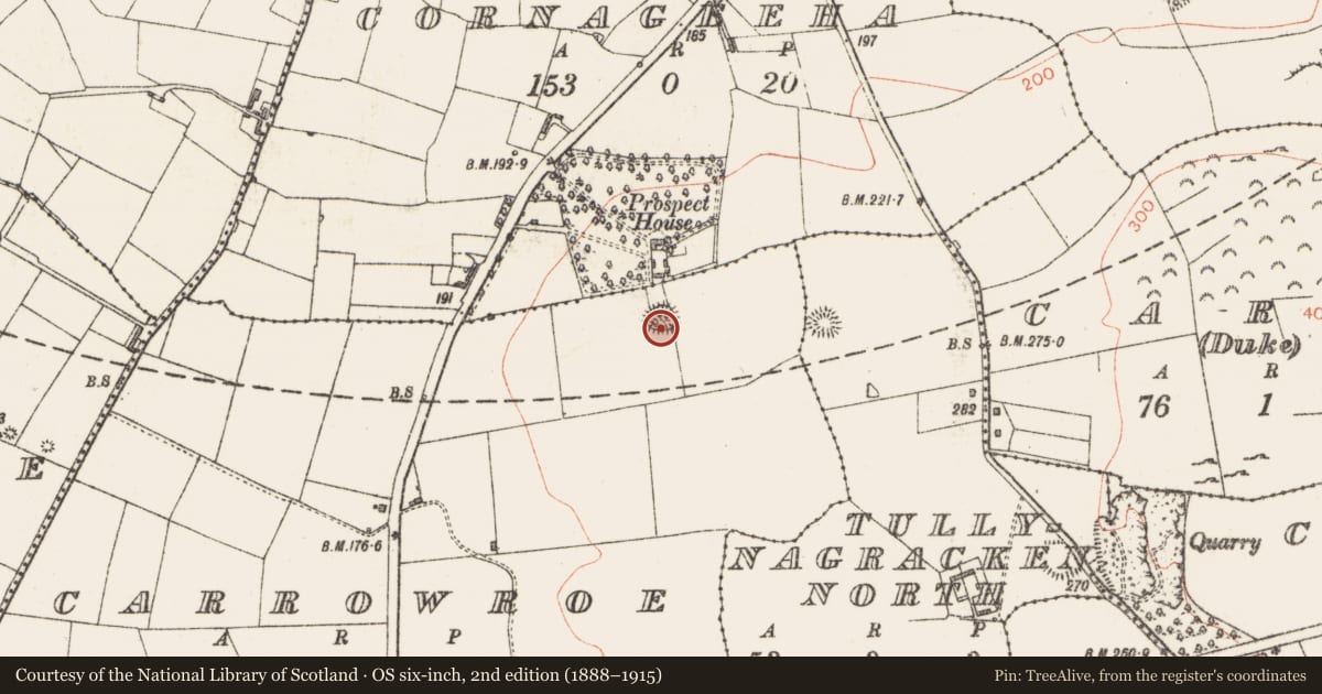 Ordnance Survey six-inch map, 2nd edition (1888–1915) covering the location of Ringfort - rath, Carrowroe, County Sligo, with a pin at the register's coordinates