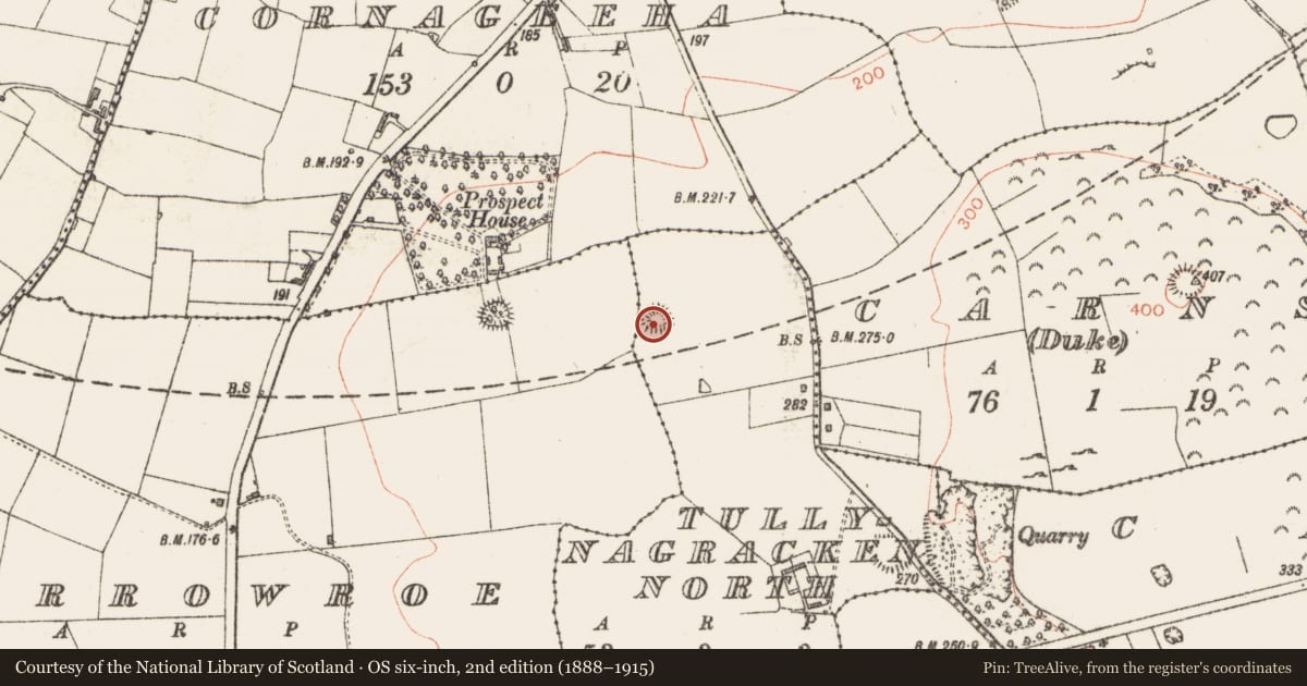 Ordnance Survey six-inch map, 2nd edition (1888–1915) covering the location of Ringfort - rath, Tullnagracken North, County Sligo, with a pin at the register's coordinates