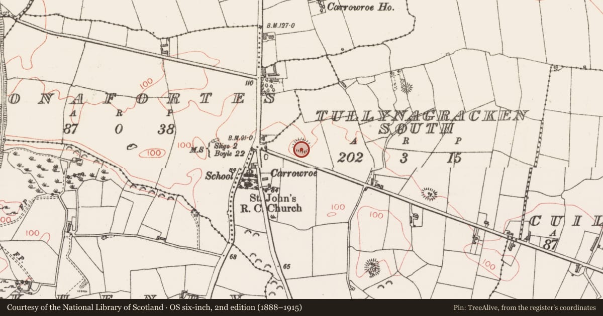 Ordnance Survey six-inch map, 2nd edition (1888–1915) covering the location of Ringfort - rath, Tullynagracken South, County Sligo, with a pin at the register's coordinates