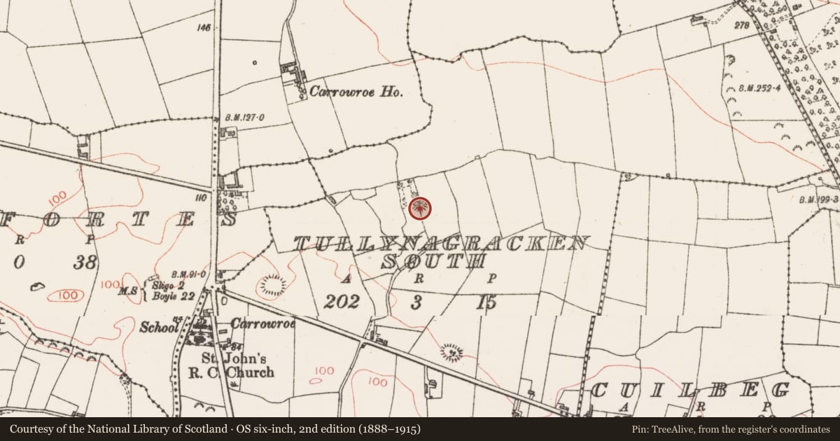 Ordnance Survey six-inch map, 2nd edition (1888–1915) covering the location of Enclosure, Tullynagracken South, County Sligo, with a pin at the register's coordinates