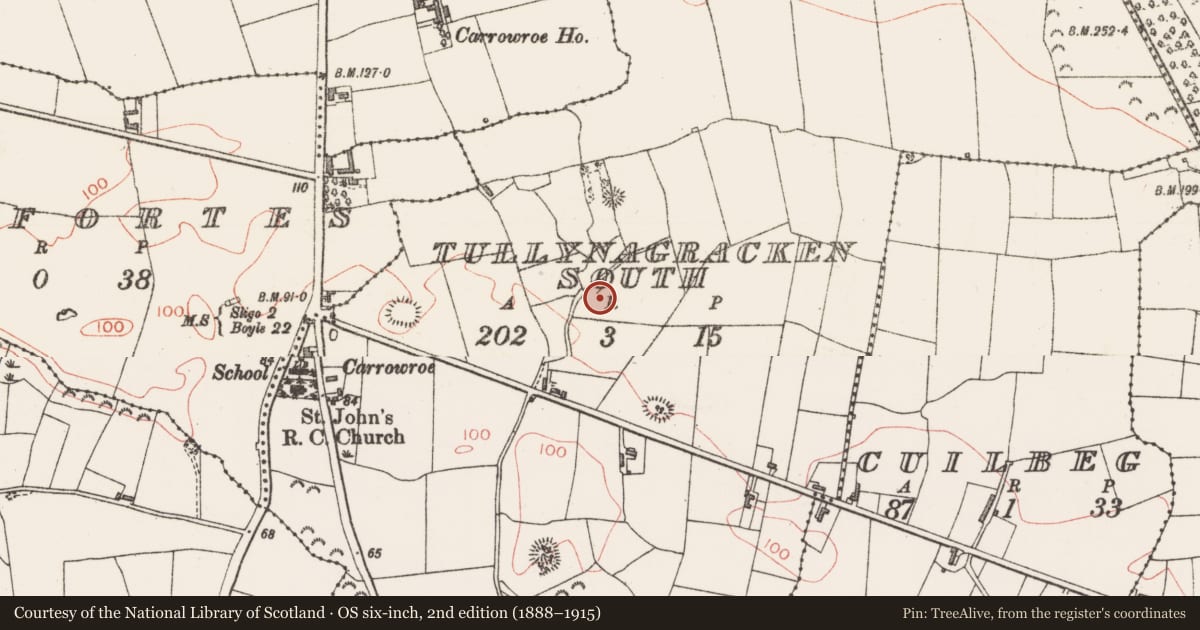 Ordnance Survey six-inch map, 2nd edition (1888–1915) covering the location of Earthwork, Tullynagracken South, County Sligo, with a pin at the register's coordinates