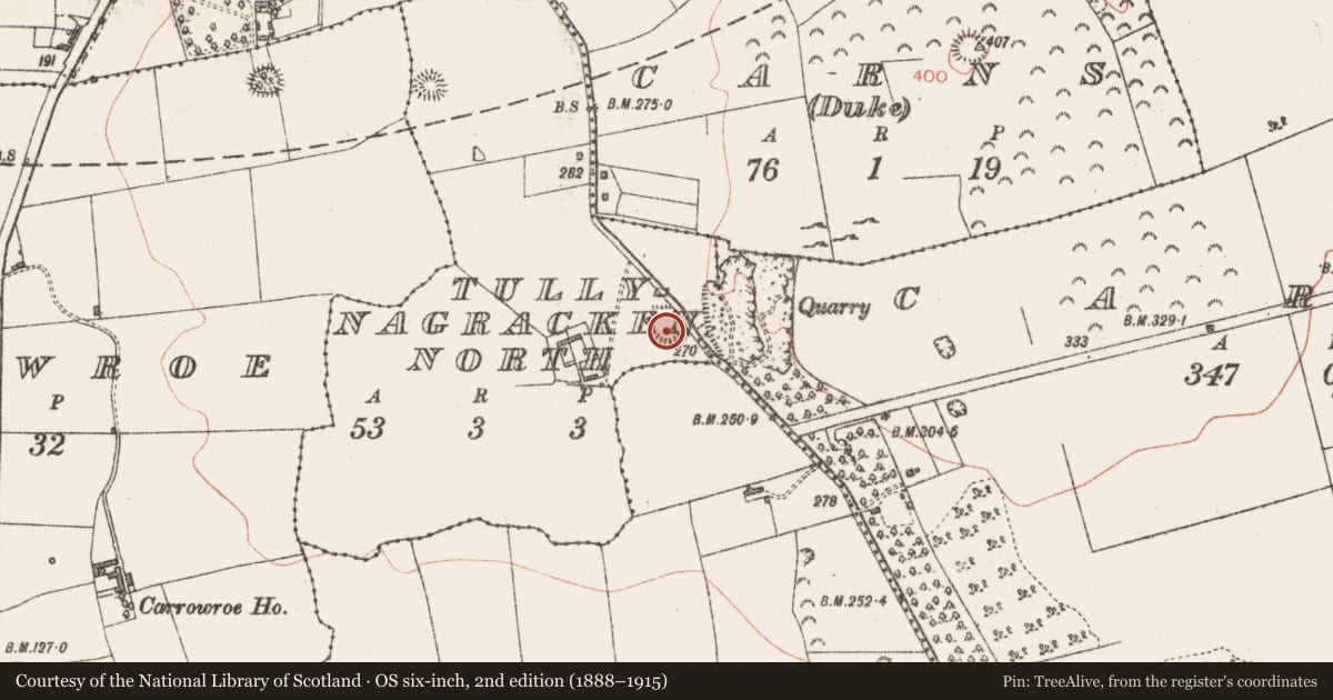Ordnance Survey six-inch map, 2nd edition (1888–1915) covering the location of Ringfort - rath, Tullnagracken North, County Sligo, with a pin at the register's coordinates