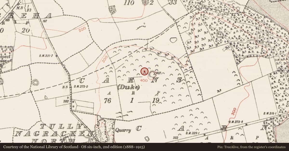 Ordnance Survey six-inch map, 2nd edition (1888–1915) covering the location of Stone row, Carns (Duke), County Sligo, with a pin at the register's coordinates