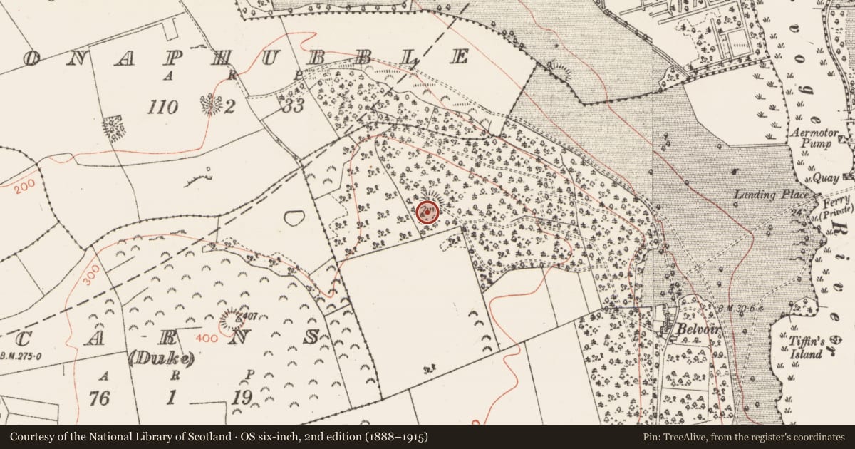 Ordnance Survey six-inch map, 2nd edition (1888–1915) covering the location of Megalithic tomb - passage tomb, Carns, County Sligo, with a pin at the register's coordinates