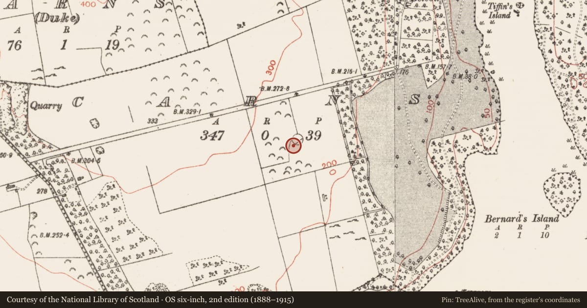 Ordnance Survey six-inch map, 2nd edition (1888–1915) covering the location of Ringfort - cashel, Carns, County Sligo, with a pin at the register's coordinates