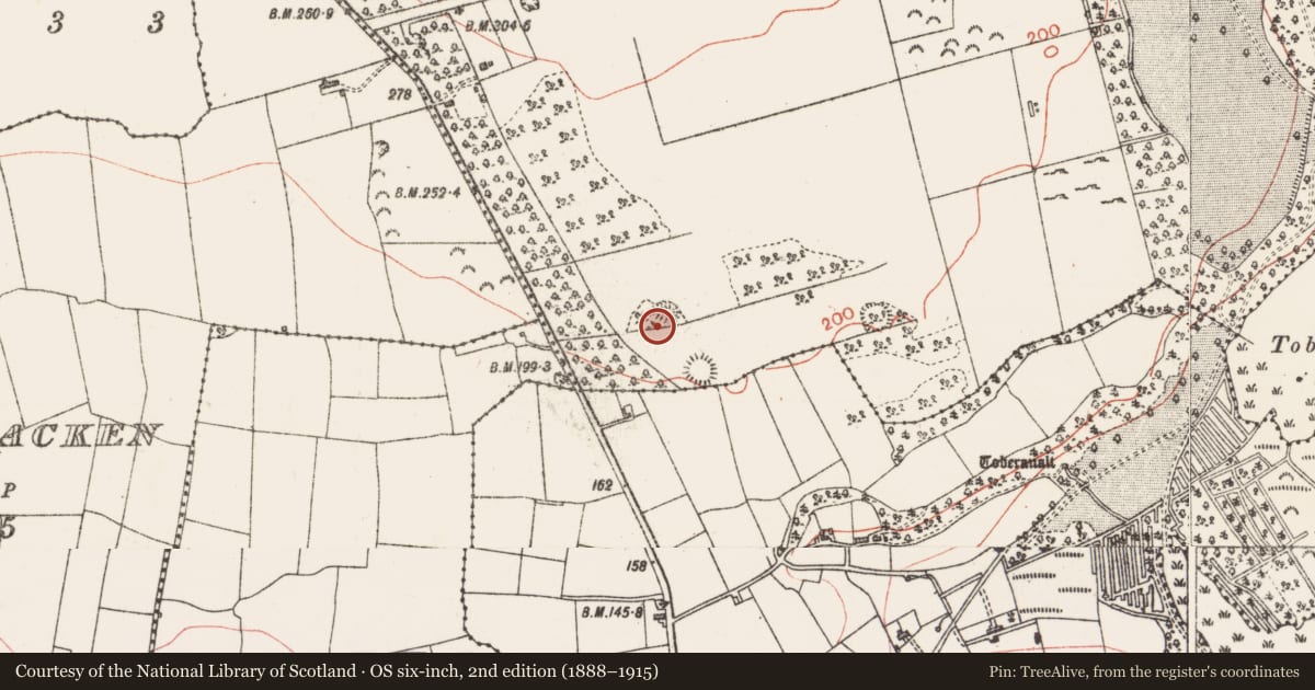 Ordnance Survey six-inch map, 2nd edition (1888–1915) covering the location of Ringfort - cashel, Carns, County Sligo, with a pin at the register's coordinates