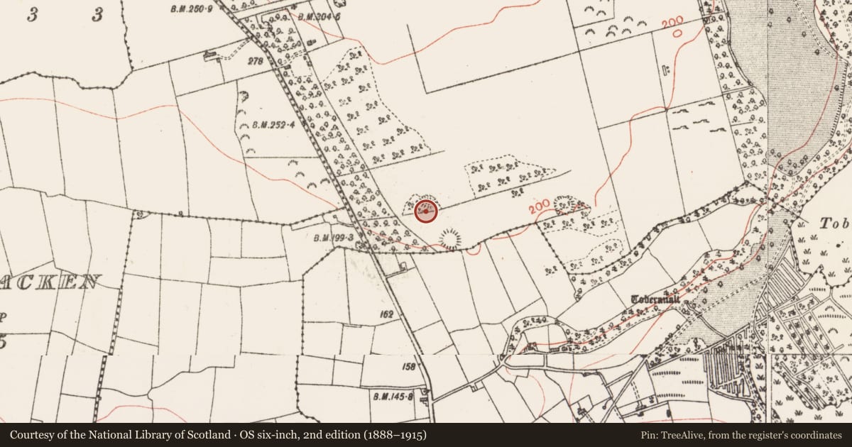 Ordnance Survey six-inch map, 2nd edition (1888–1915) covering the location of Souterrain, Carns, County Sligo, with a pin at the register's coordinates