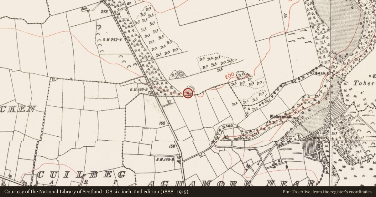 Ordnance Survey six-inch map, 2nd edition (1888–1915) covering the location of Souterrain, Carns, County Sligo, with a pin at the register's coordinates
