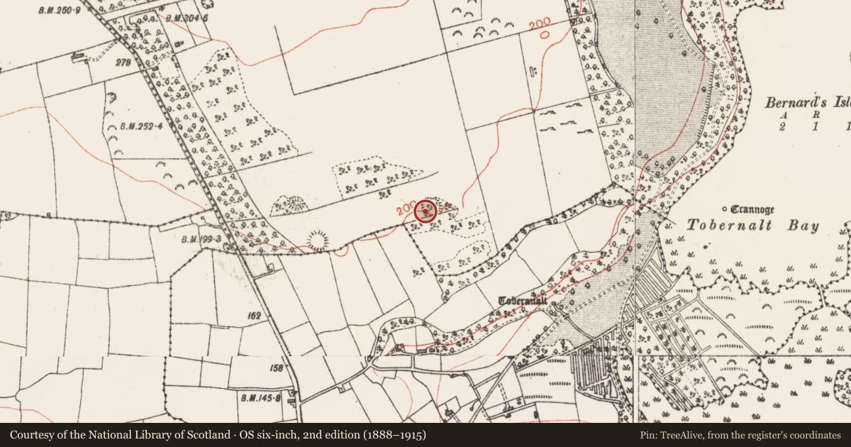 Ordnance Survey six-inch map, 2nd edition (1888–1915) covering the location of Ringfort - cashel, Carns, County Sligo, with a pin at the register's coordinates