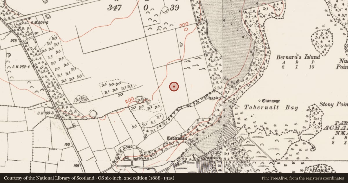 Ordnance Survey six-inch map, 2nd edition (1888–1915) covering the location of Enclosure, Carns, County Sligo, with a pin at the register's coordinates