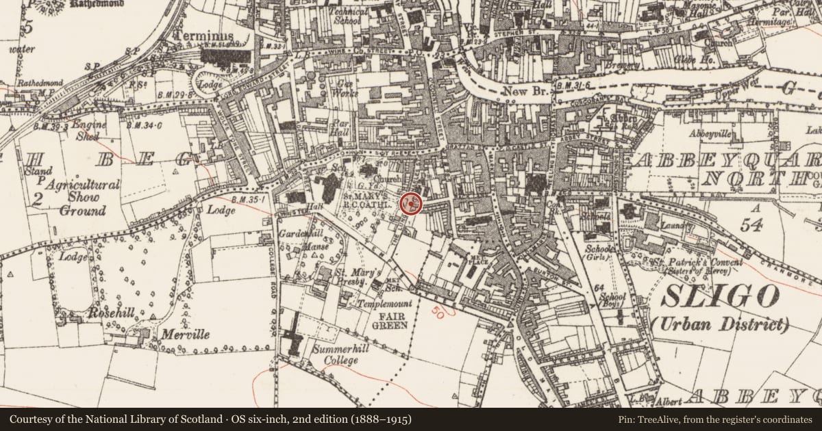 Ordnance Survey six-inch map, 2nd edition (1888–1915) covering the location of Anomalous stone group, Magheraboy, County Sligo, with a pin at the register's coordinates