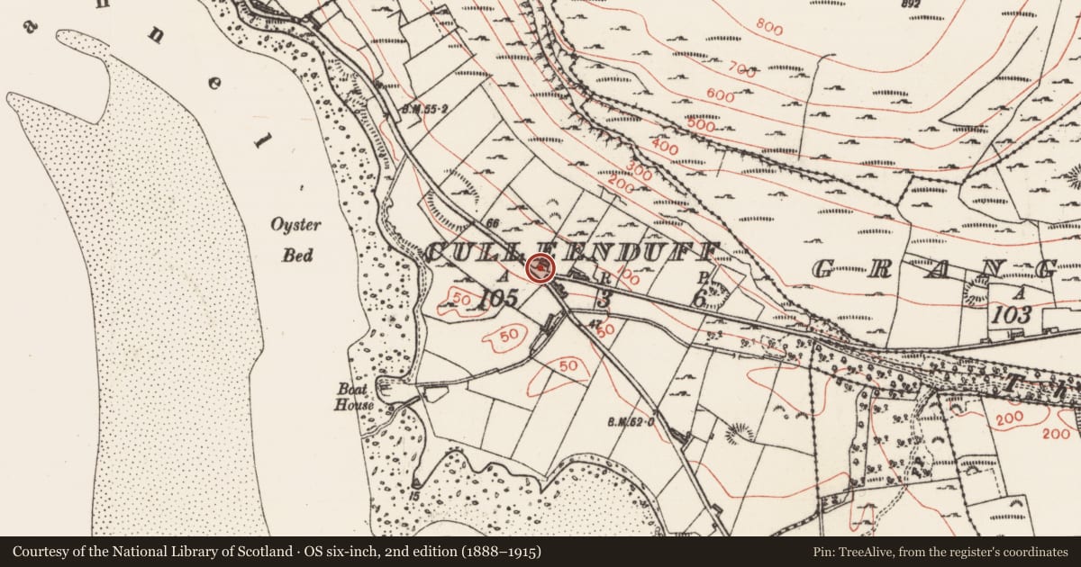 Ordnance Survey six-inch map, 2nd edition (1888–1915) covering the location of Midden, Culleenduff, County Sligo, with a pin at the register's coordinates