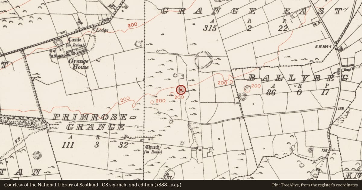 Ordnance Survey six-inch map, 2nd edition (1888–1915) covering the location of Megalithic structure, Grange East, County Sligo, with a pin at the register's coordinates