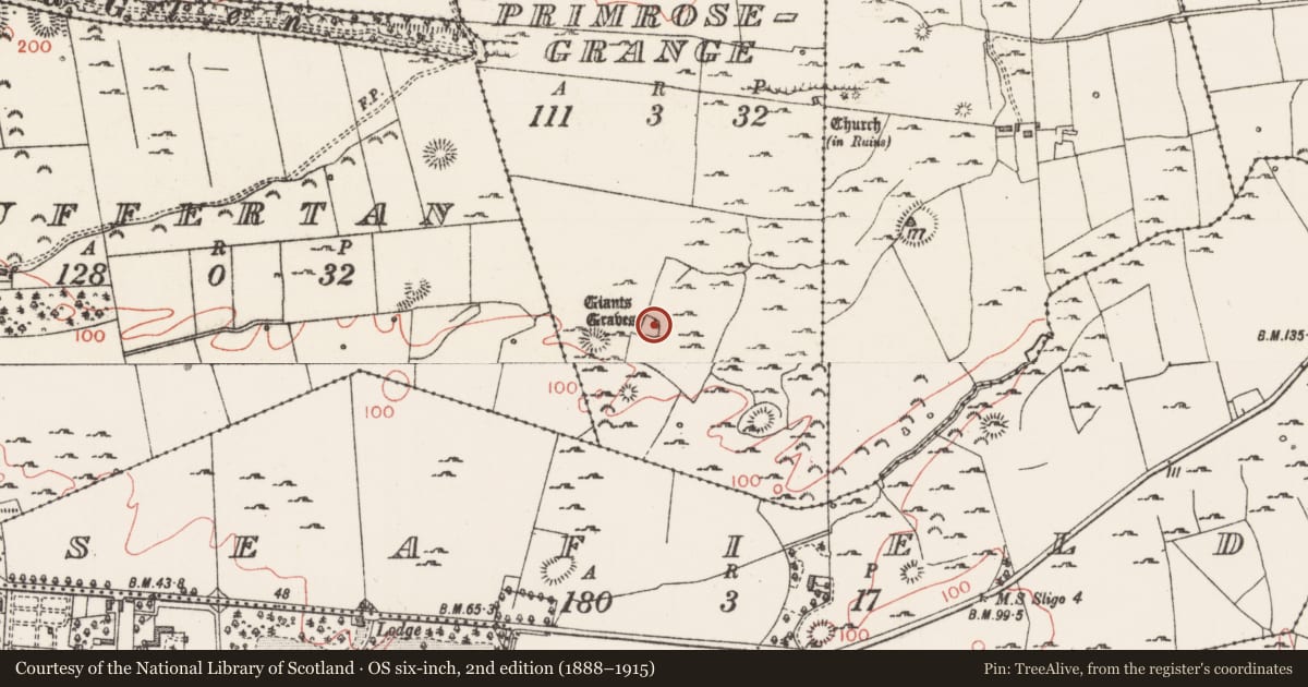 Ordnance Survey six-inch map, 2nd edition (1888–1915) covering the location of Megalithic structure, Primrosegrange, County Sligo, with a pin at the register's coordinates