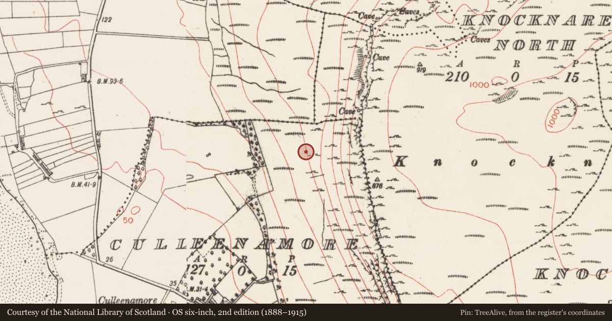 Ordnance Survey six-inch map, 2nd edition (1888–1915) covering the location of Enclosure, Culleenamore, County Sligo, with a pin at the register's coordinates