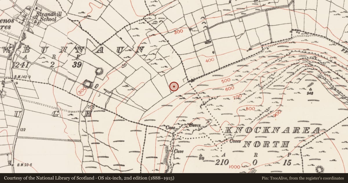 Ordnance Survey six-inch map, 2nd edition (1888–1915) covering the location of Cairn - unclassified, Carrowbunnaun, County Sligo, with a pin at the register's coordinates