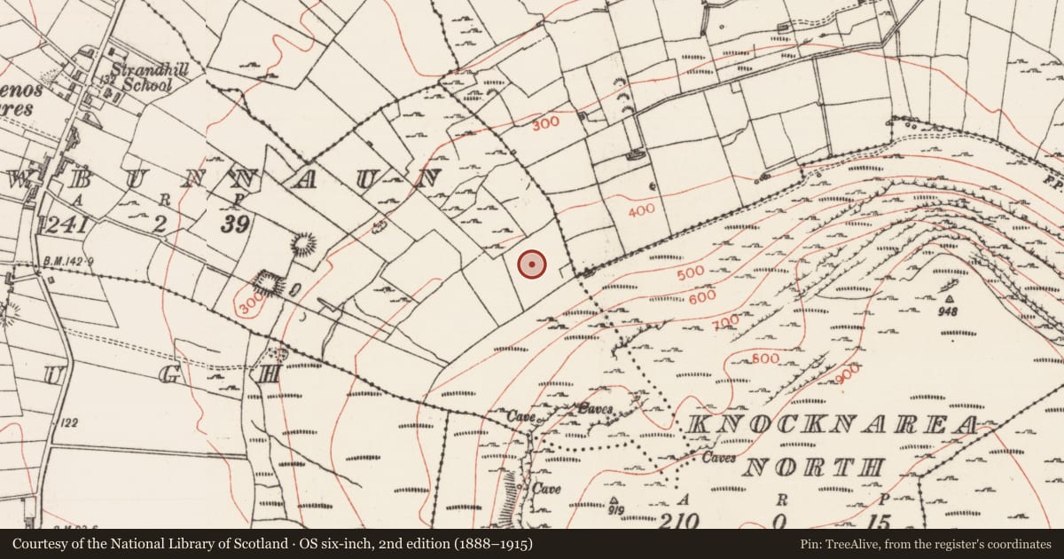 Ordnance Survey six-inch map, 2nd edition (1888–1915) covering the location of Barrow - unclassified, Carrowbunnaun, County Sligo, with a pin at the register's coordinates