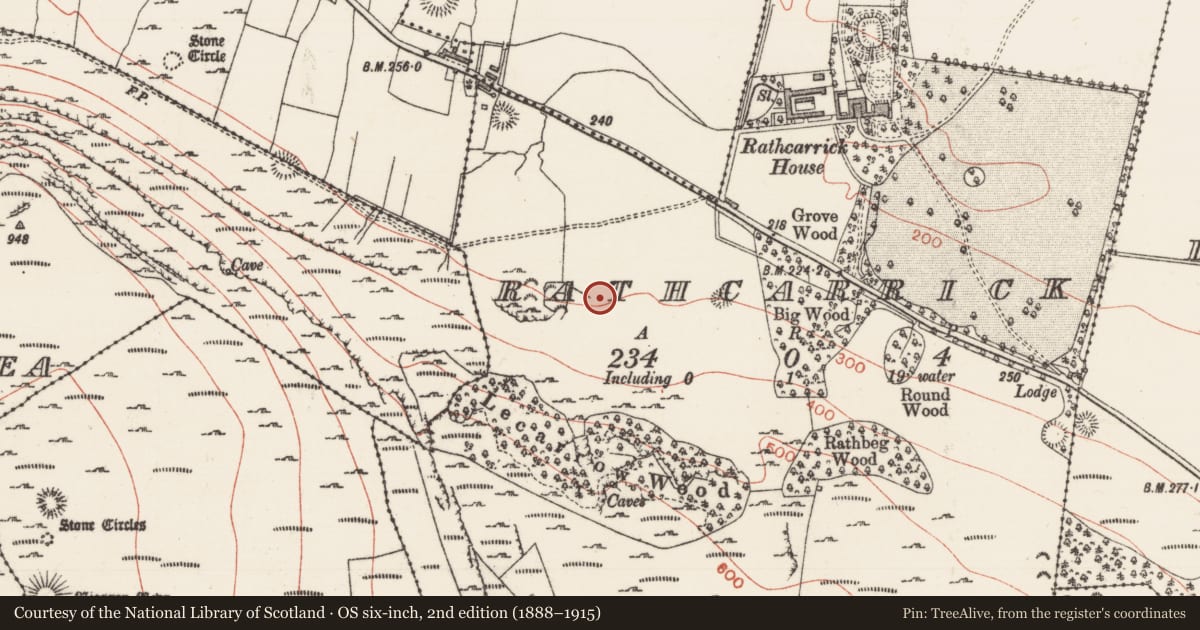 Ordnance Survey six-inch map, 2nd edition (1888–1915) covering the location of Standing stone, Rathcarrick, County Sligo, with a pin at the register's coordinates