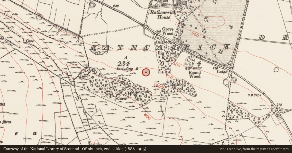 Ordnance Survey six-inch map, 2nd edition (1888–1915) covering the location of Prehistoric site - lithic scatter, Drinaghan, Rathcarrick, County Sligo, with a pin at the register's coordinates
