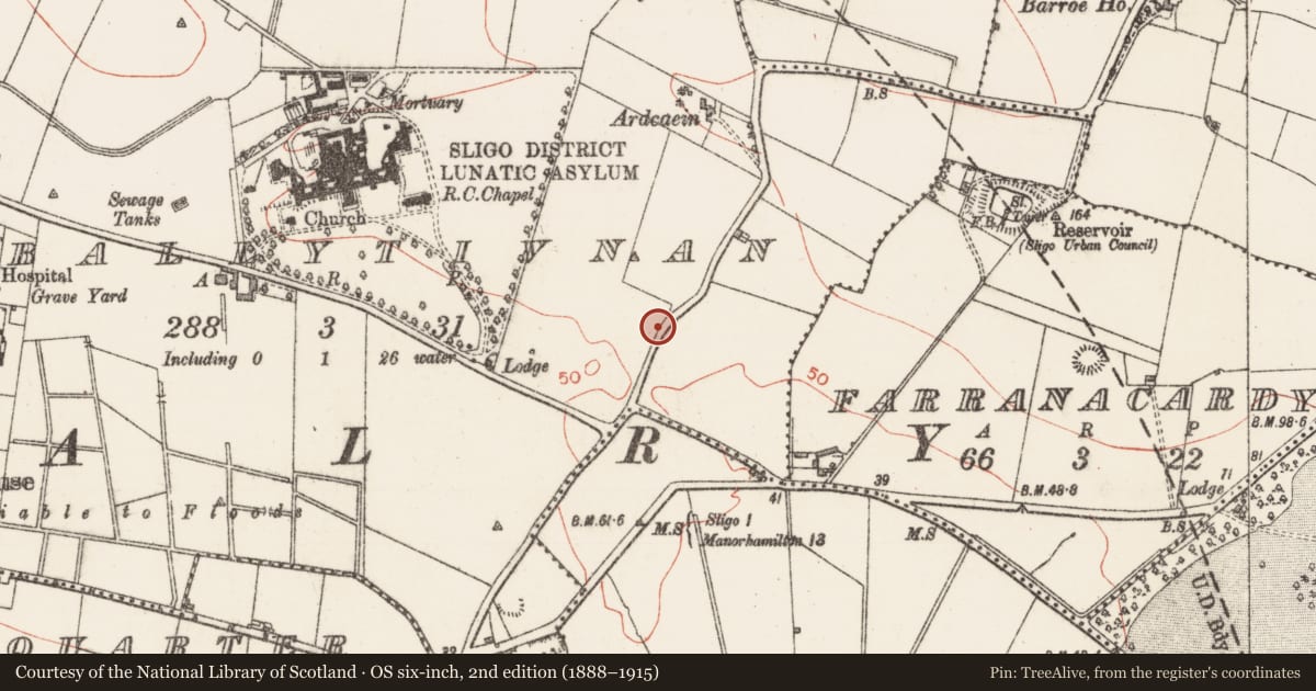 Ordnance Survey six-inch map, 2nd edition (1888–1915) covering the location of Enclosure, Ballytivnan, County Sligo, with a pin at the register's coordinates