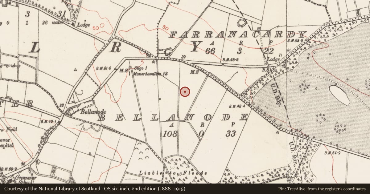 Ordnance Survey six-inch map, 2nd edition (1888–1915) covering the location of Enclosure, Bellanode, County Sligo, with a pin at the register's coordinates