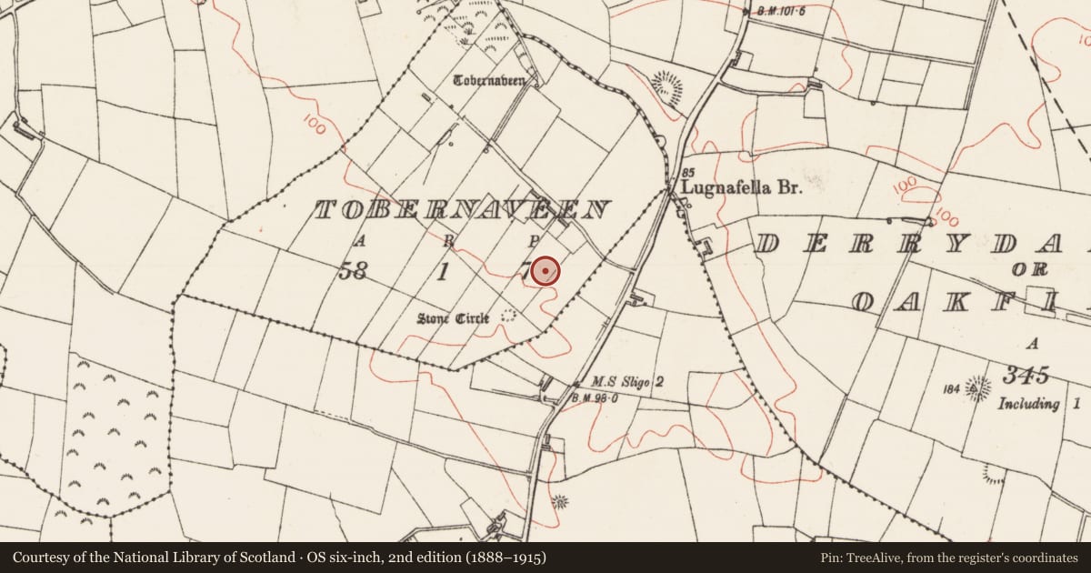 Ordnance Survey six-inch map, 2nd edition (1888–1915) covering the location of Megalithic structure, Tobernaveen, County Sligo, with a pin at the register's coordinates