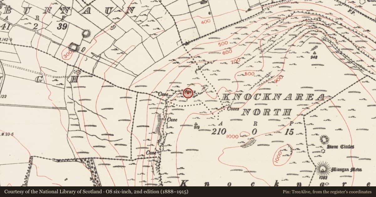 Ordnance Survey six-inch map, 2nd edition (1888–1915) covering the location of Cave, Carrowbunnaun, County Sligo, with a pin at the register's coordinates
