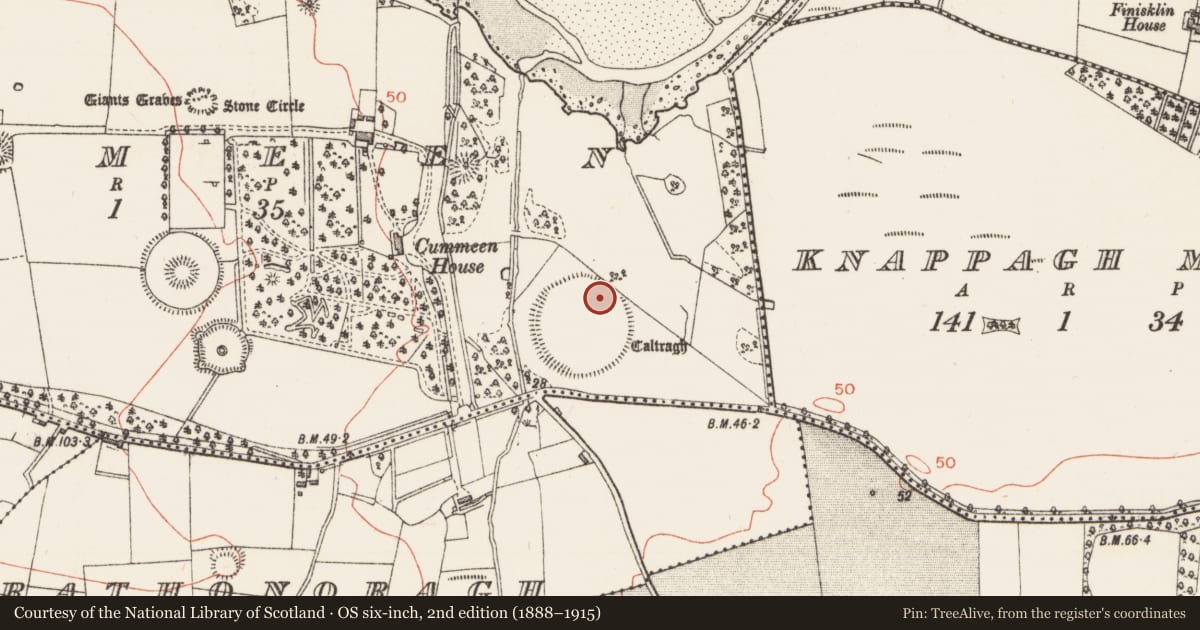 Ordnance Survey six-inch map, 2nd edition (1888–1915) covering the location of Enclosure, Cummeen, County Sligo, with a pin at the register's coordinates