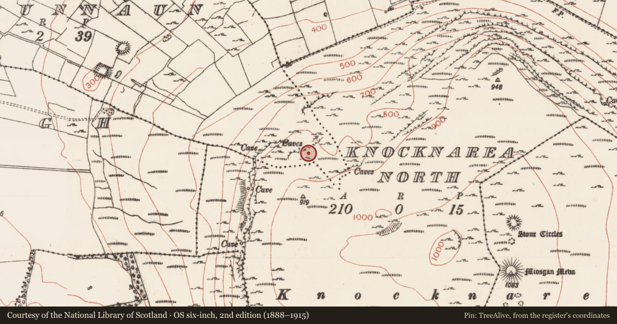 Ordnance Survey six-inch map, 2nd edition (1888–1915) covering the location of Cave, Carrowbunnaun, County Sligo, with a pin at the register's coordinates