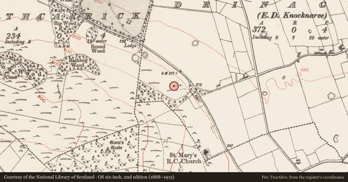 Ordnance Survey six-inch map, 2nd edition (1888–1915) covering the location of Standing stone, Drinaghan, County Sligo, with a pin at the register's coordinates