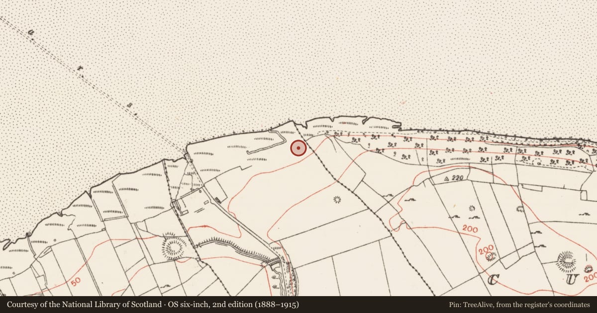 Ordnance Survey six-inch map, 2nd edition (1888–1915) covering the location of Midden, Scardan More, County Sligo, with a pin at the register's coordinates