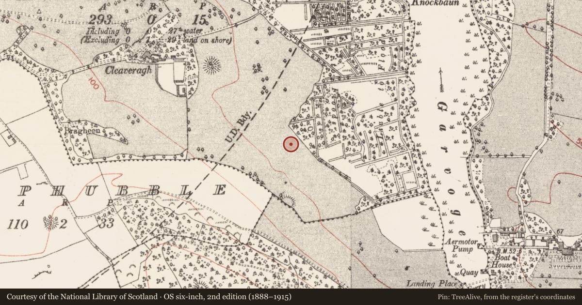 Ordnance Survey six-inch map, 2nd edition (1888–1915) covering the location of Burnt mound, Cleaveragh Demesne, County Sligo, with a pin at the register's coordinates