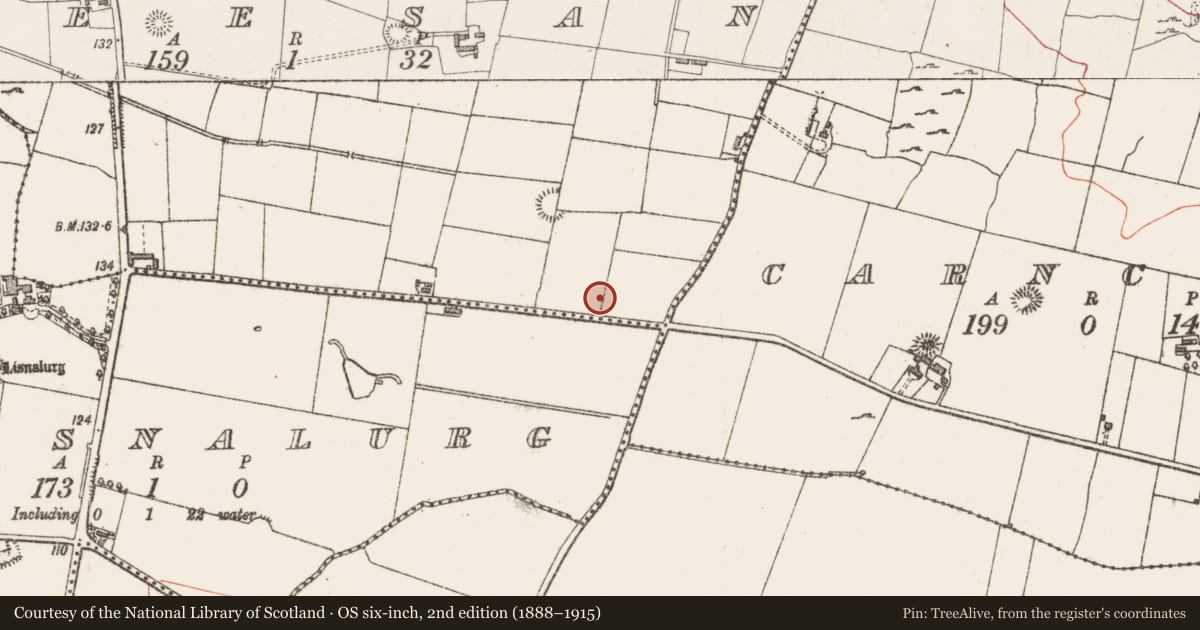 Ordnance Survey six-inch map, 2nd edition (1888–1915) covering the location of Bullaun stone, Teesan, County Sligo, with a pin at the register's coordinates